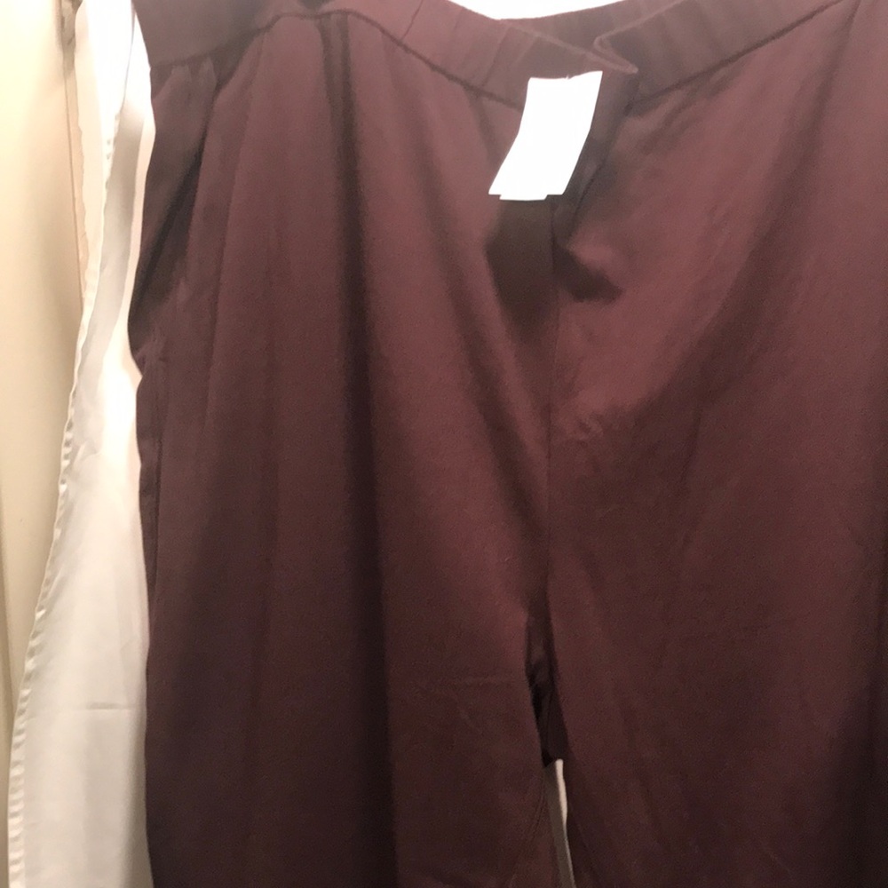 Eileen Fisher Lantera Pants